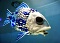 D_BiG_FisH